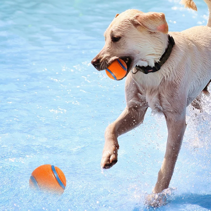 Thumbnail 4 - #35 Best Dog Balls to Buy In 2026