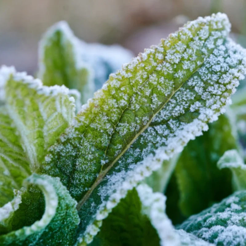 

Metal Upgrade, Front rear up down Swing Arm, Steering Cup For SCY 1/16 RC 16101 16102 16103 16104 16106 16201 RC Car Parts