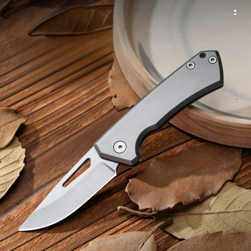 

Outdoor Small Folding Blade Knife Stainless Steel Folding Knife Portable High Hardness Keychain Mini Small Blade Sharp Knife
