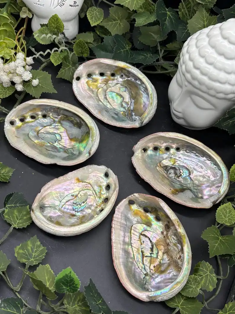 Abalone-Hülle – rote Abalone-Hülle – gereinigte Abalone-Hülle, einzigartige Probe für Sammlerstücke und pädagogische Nutzung – Detail 4