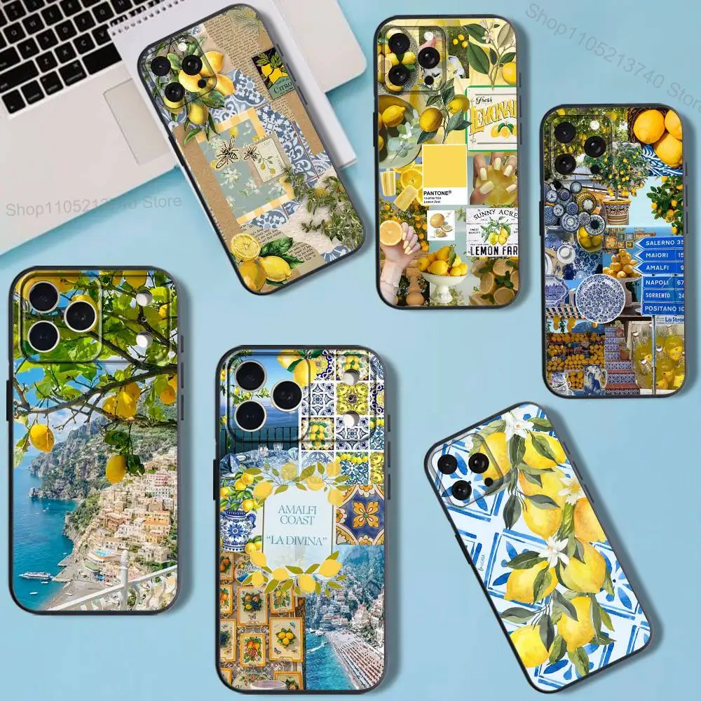 C-CoastS European Amalfi-es für iPhone 11,15,16,14,13,17,12,Pro,SE4,Plus,E,Max,Air,Mini Schwarz, stoßfeste Softcover-Handyhülle