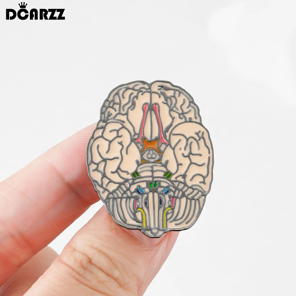 

DCARZZ Enamel Heart Brooch Medical Cardiology Anatomy Pin Jewelry Backpack Lapel Badge for Doctor Nurse Medicine Student