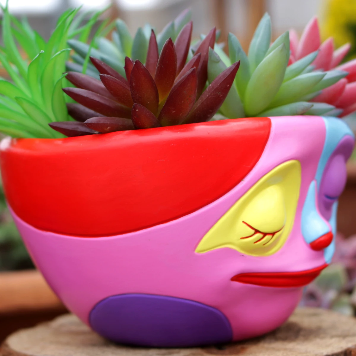 1pc einzigartige bunte Grimass – Snake Plant Ceramic Bewertung und Preis