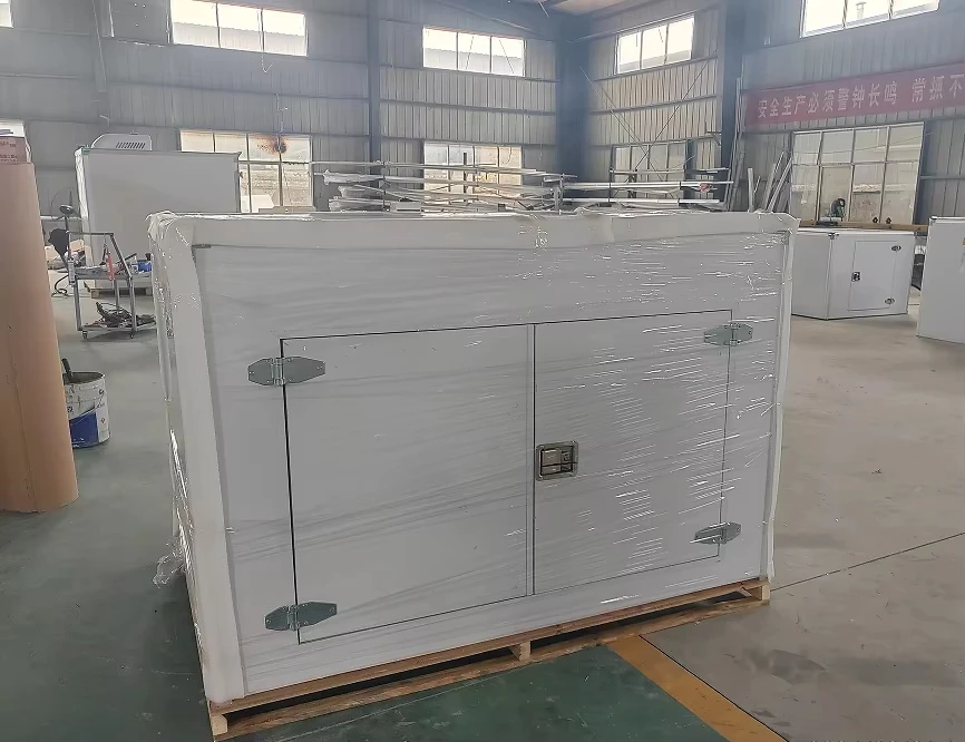 Customized Premium Quality 75mm Thick Refrigerated Cabinet and Insulated Containers for Cold Chain Box with Stainless Steel