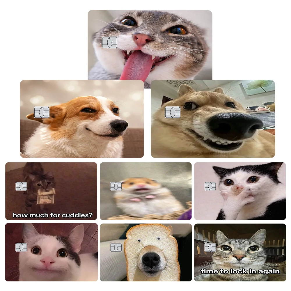 Lustige Tier-Meme Kreditkarten-Skin-Aufkleber Hunde- und Katzen-Sticker zur Dekoration von VISA JCB AMEX MasterCard und Anderen IC-Bankkarten – Detail 3