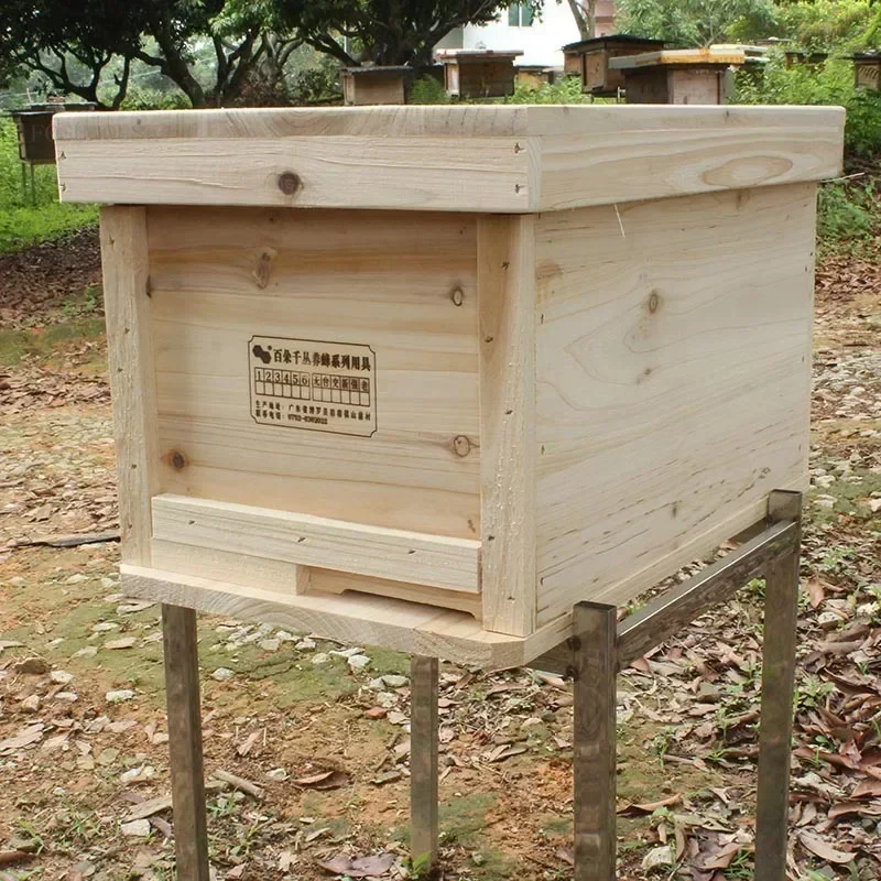 

Wooden Beehive Automatic Bees Box Nest Beekeeping Equipment Beekeeper Tool for Honey Collection High Quality Bee Hives R