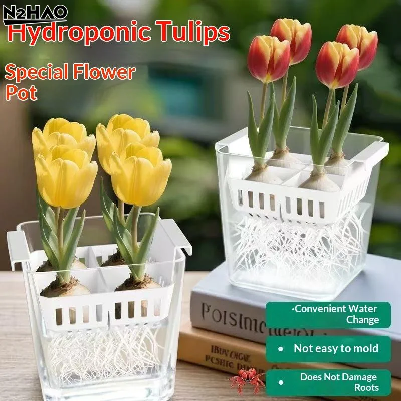 Hydroponic Containers With Breathable Support Basket Tulip Seed Hydroponic Flowerpot 4 Holes Soilless Flower Pot Home Decoration