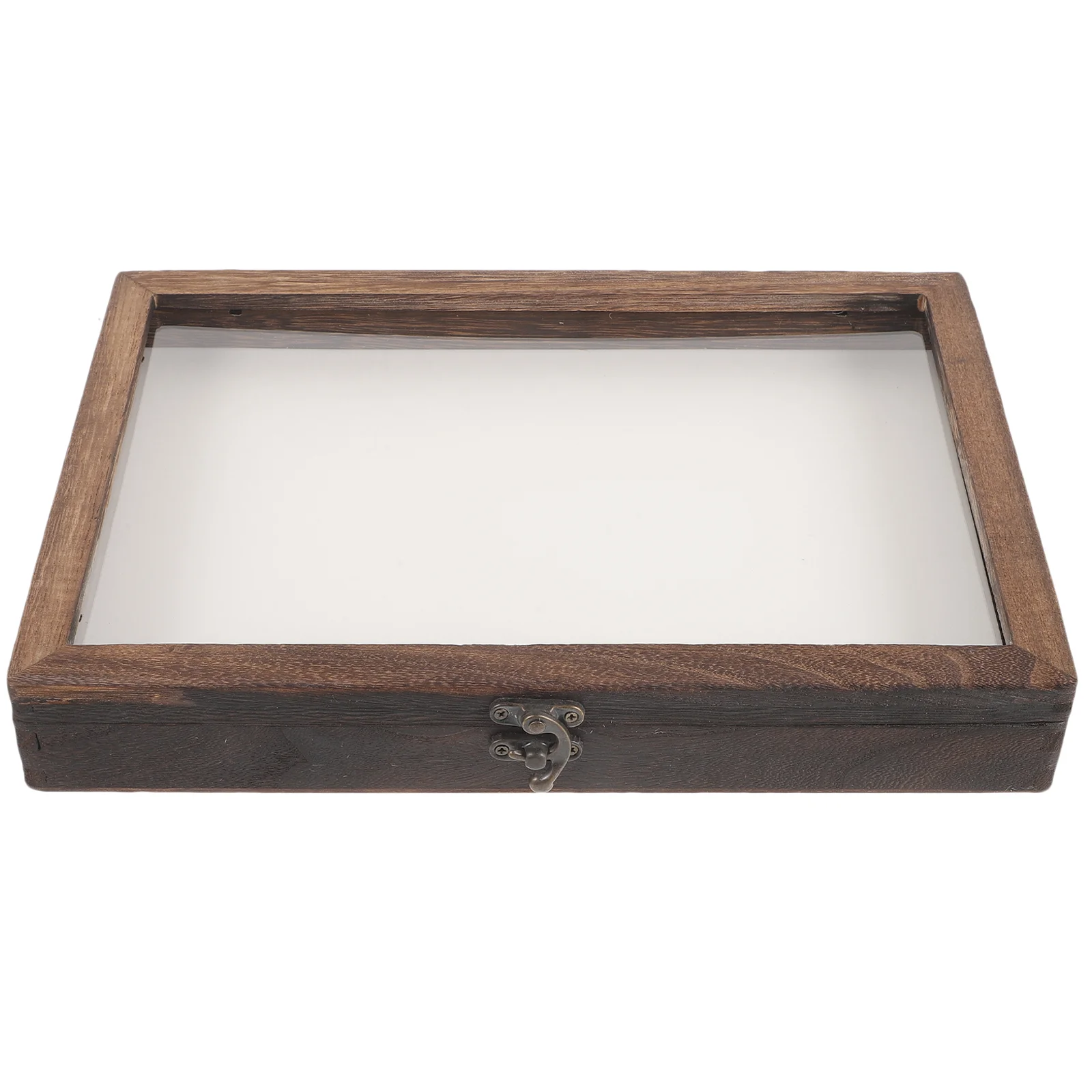 

Butterfly Specimen Display Box Butterflies Case Insect Holder Storage Small Compartment Boxes Insects