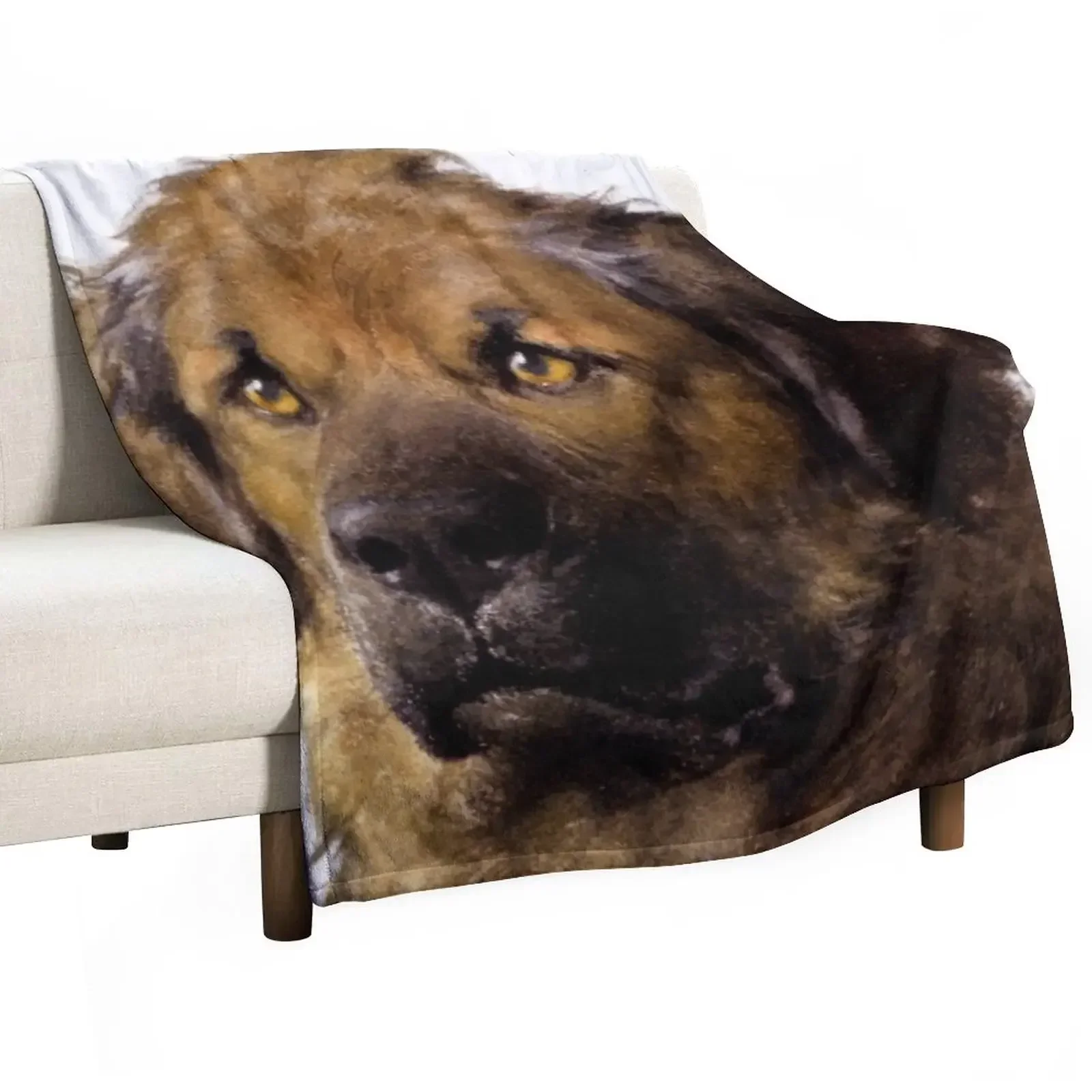 

Dog breed leonberger, picture Throw Blanket Blankets For Bed Sofas Luxury St Luxury Brand Blankets