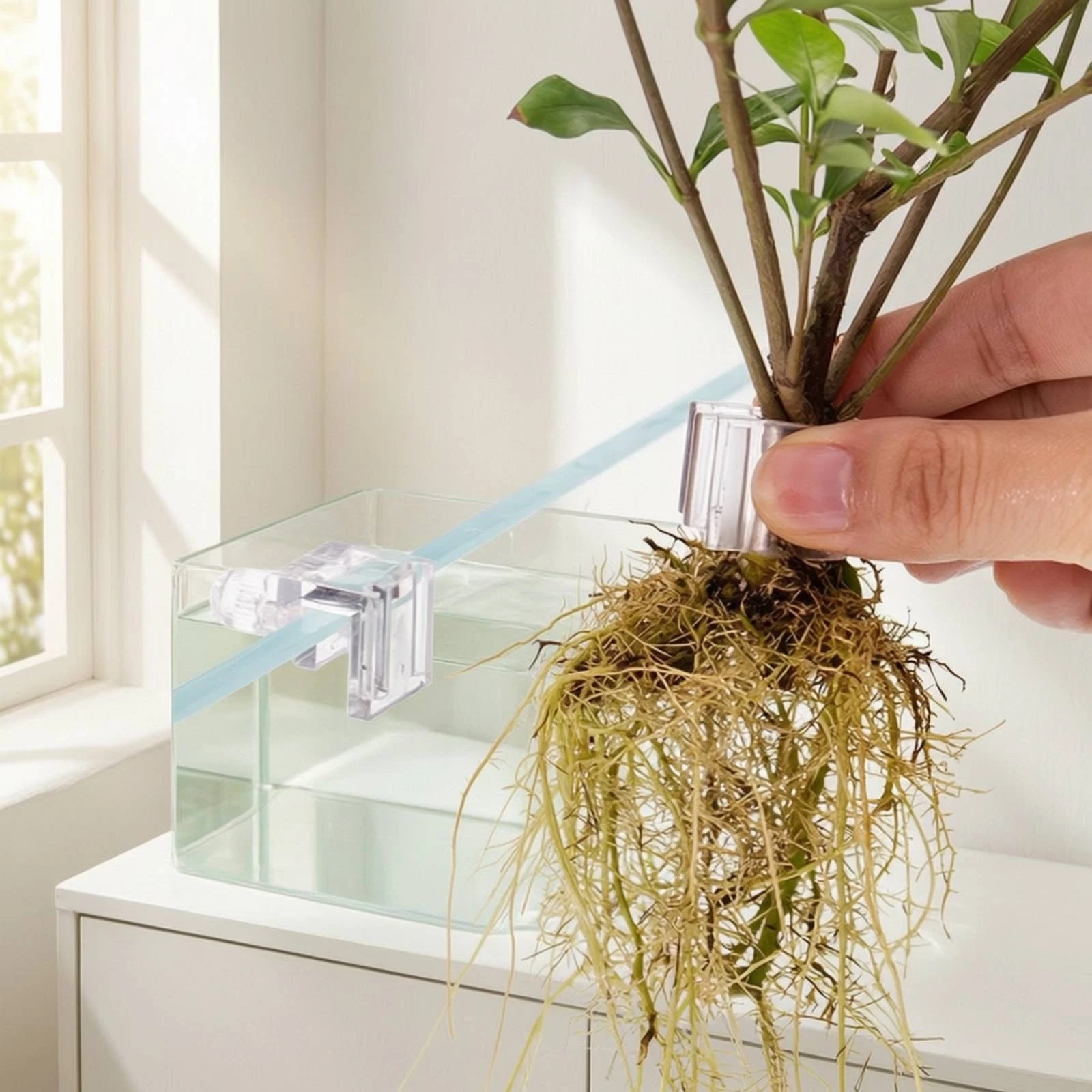 6 Buah Penjepit Penyangga Hidr - Aquarium Planted Plants ulasan dan harga