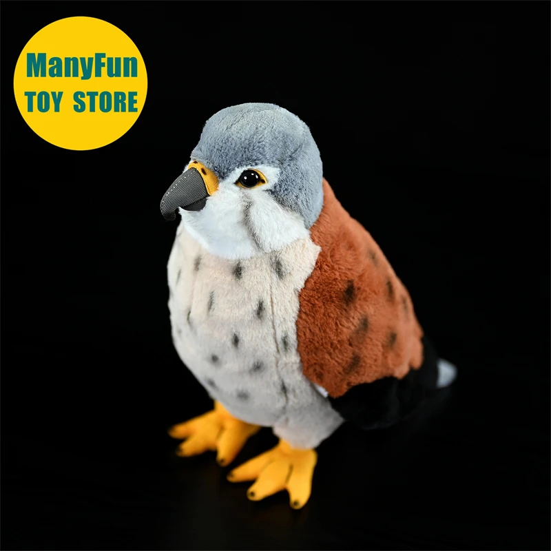 ตุ๊กตาเหยี่ยวเคสเทรลเหมือนจริง ตุ๊กตาเหยี่ยวฟอลคอนคุณภาพสูง ตุ๊กตาเหยี่ยวเพเรกรีนเหมือนจริง ตุ๊กตาเหยี่ยวสปาร์โรว์ ตุ๊กตาสัตว์จำลอง