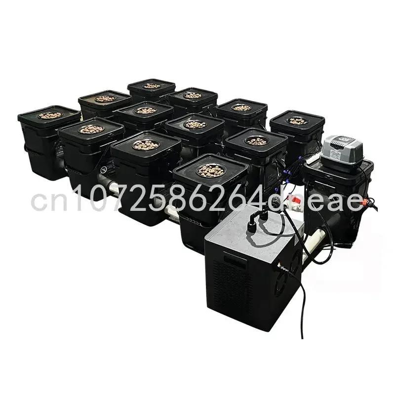 

Recirculating DWC Bucket Hydroponics System 12 Grow Pot System Indoor Hydroponic with Water Chiller