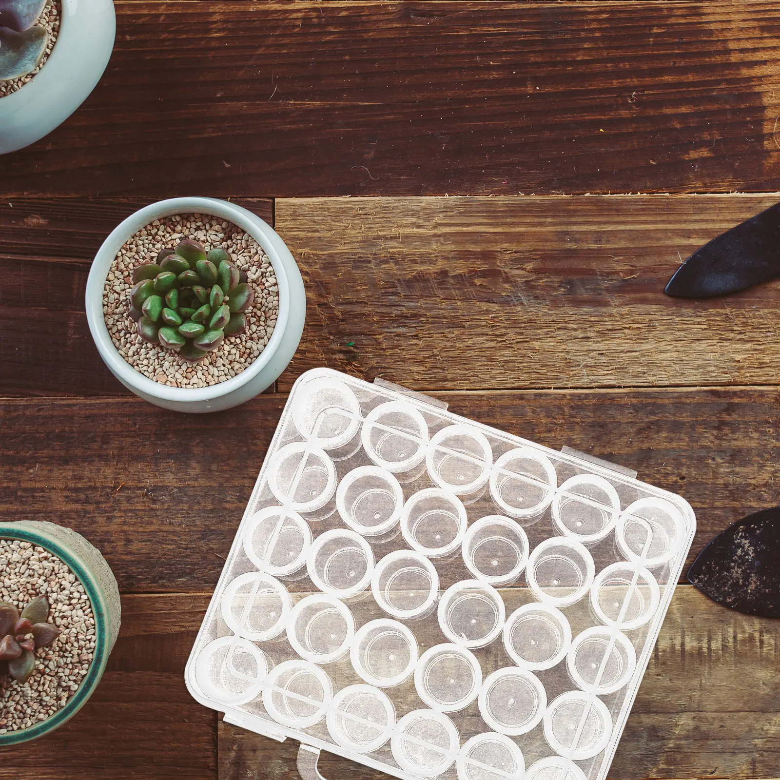 

Compact Seed Storage Organizer Box Clear Lid Viewable Compartments Multipurpose Use Flower Vegetable Seeds Garden Supplies