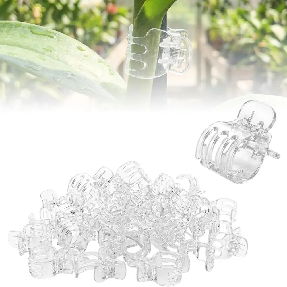 50Pcs Set Plastic Plant Fixing Clip Reusable Flower Grow Orchid Clips Upright Branch Supporting Stems Vine Clip Plant Accessory