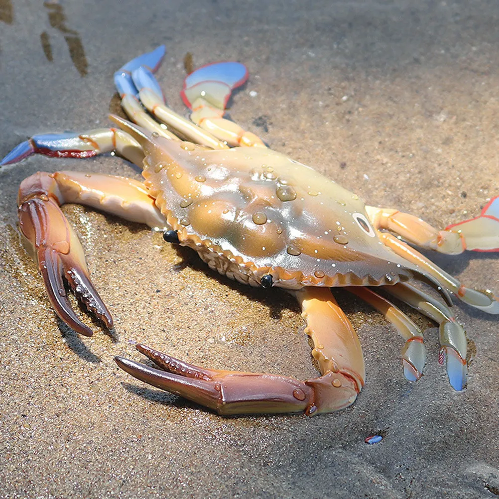 2pcs-simulation-crabs-lovely-imitation-artificial-crabs-party-supplies-educational-cognitive-plaything-kids-gift