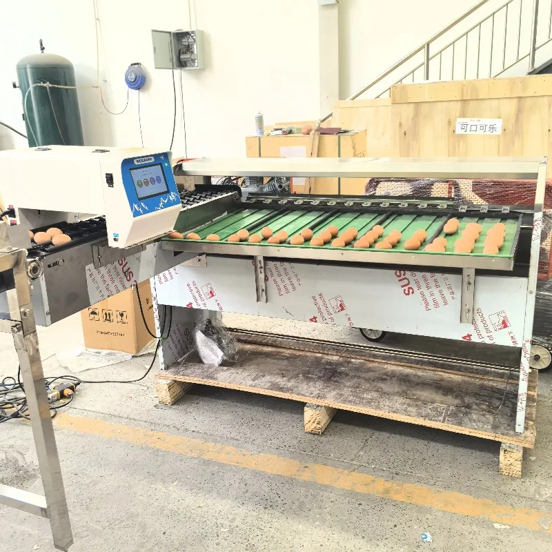 Custom 5-7 Grade Egg Sorting Machine 304 Stainless Steel with Candling Crack Detection 5400pcs/h CE Certified