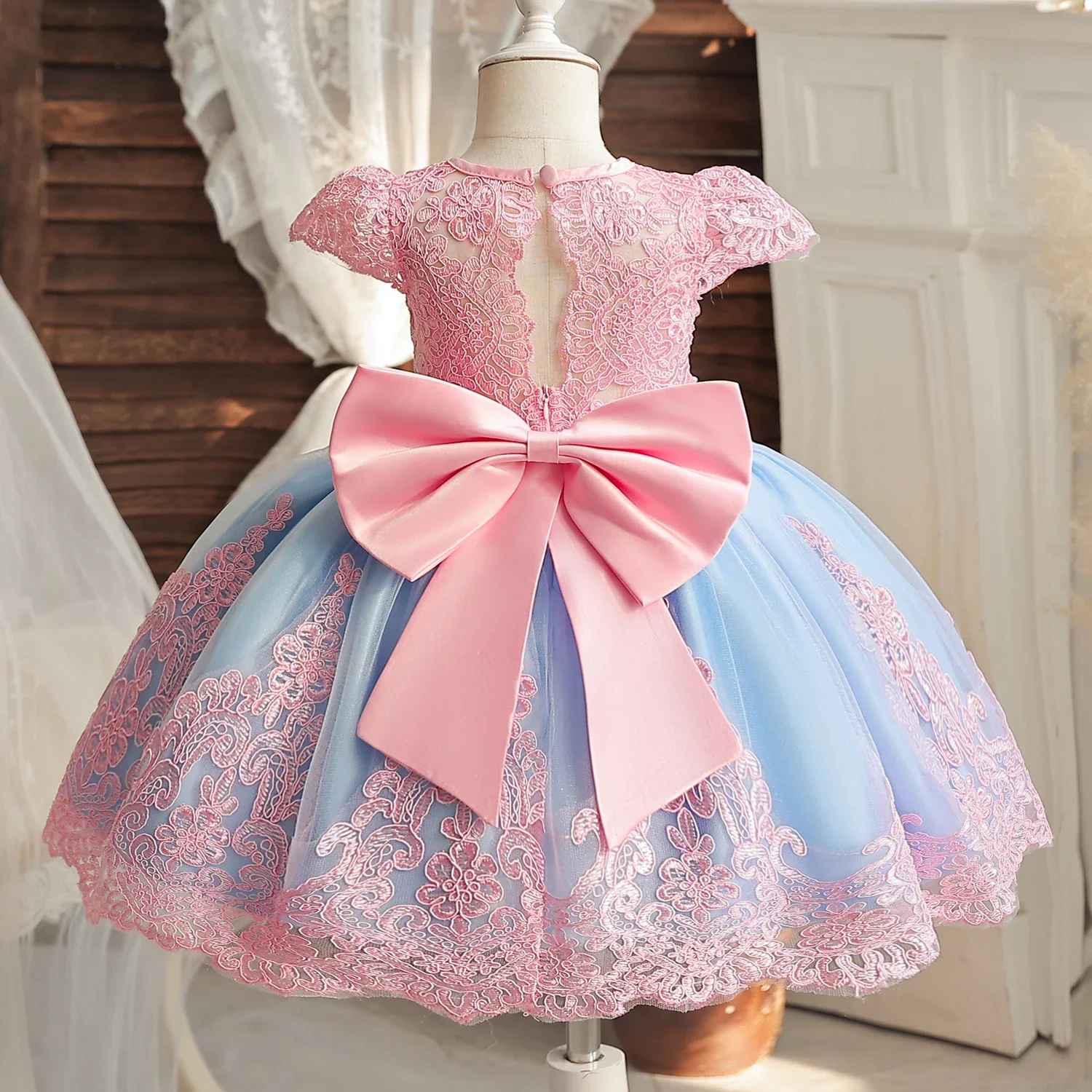 Baby Girls Lace Dress Backless Evening Ball Gowns Embroidery Elegant Ceremony Costumes 1st Birthday Baptism Party Princess Dress