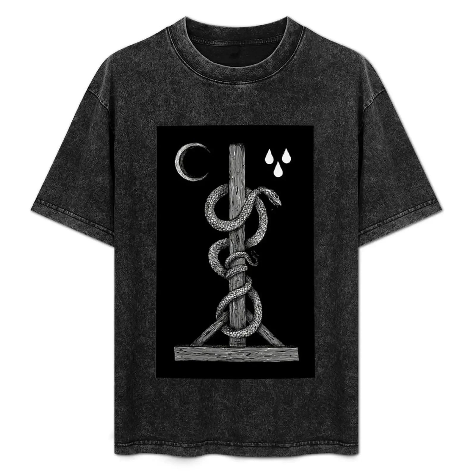 

Amenra Merch Poster T-Shirt anime stuff clothes blue archive valentines boutique clothes mens graphic t-shirts pack