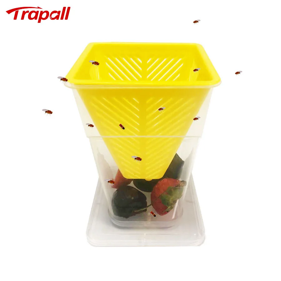 

Home Kitchen Reusable Plastic Insects Bug Catcher Fruit Fly Live Catch Trap