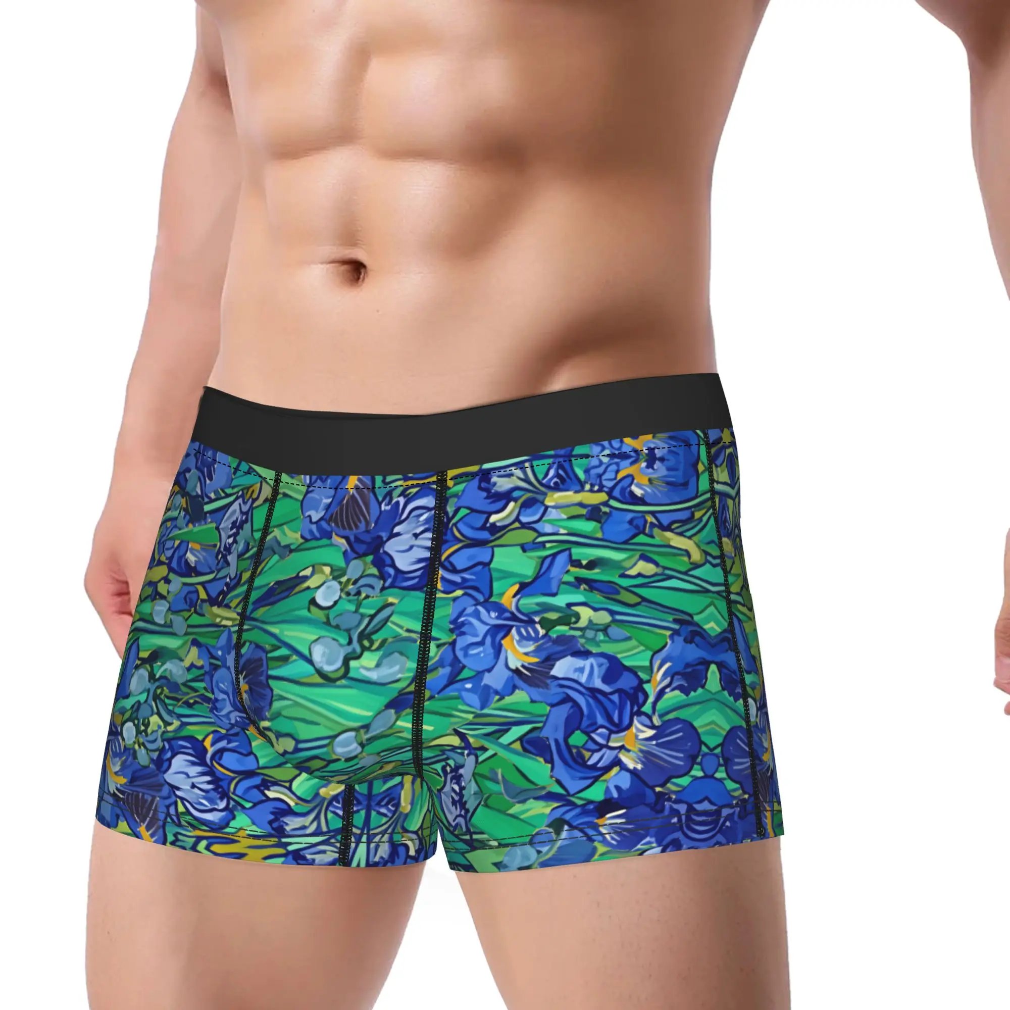 Custom Vincent Van Gogh Purple Irises Boxershorts  Pouch Underwear Trenky Printed Boxer Brief Funny Men Panties Plus Size 2XL