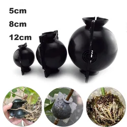 1 Set Plant Rooting Ball Grafting Rooting Growing Box Breeding Case Plant Rooting Device High Pressure Box for Garden F1