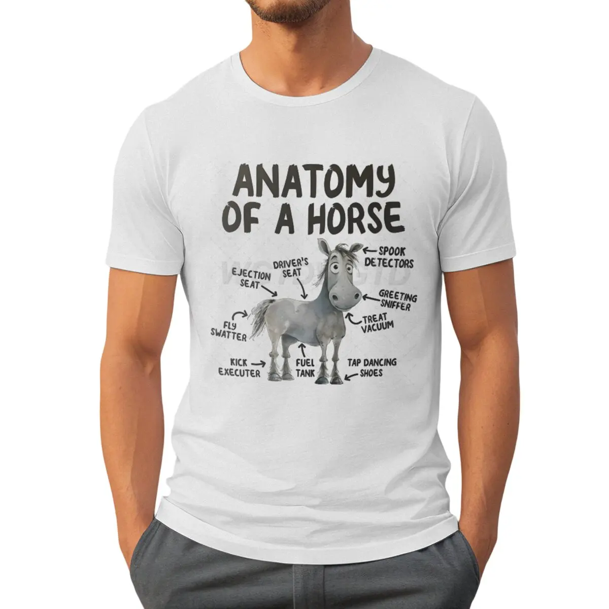 Funny Anatomy Horse Printed T-Shirts Men Women Short Sleeve Funny Round Neck Tee Shirt Casual Anime Clothes Summer Fashion Tops