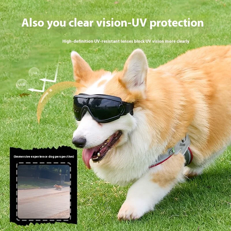 نظارات الكلاب - نظارات شمسية واقية من الأشعة فوق البنفسجية للحيوانات الأليفة، نظارات زجاجية لطيفة وأنيقة للكلاب (صور ممتعة جاهزة! #1