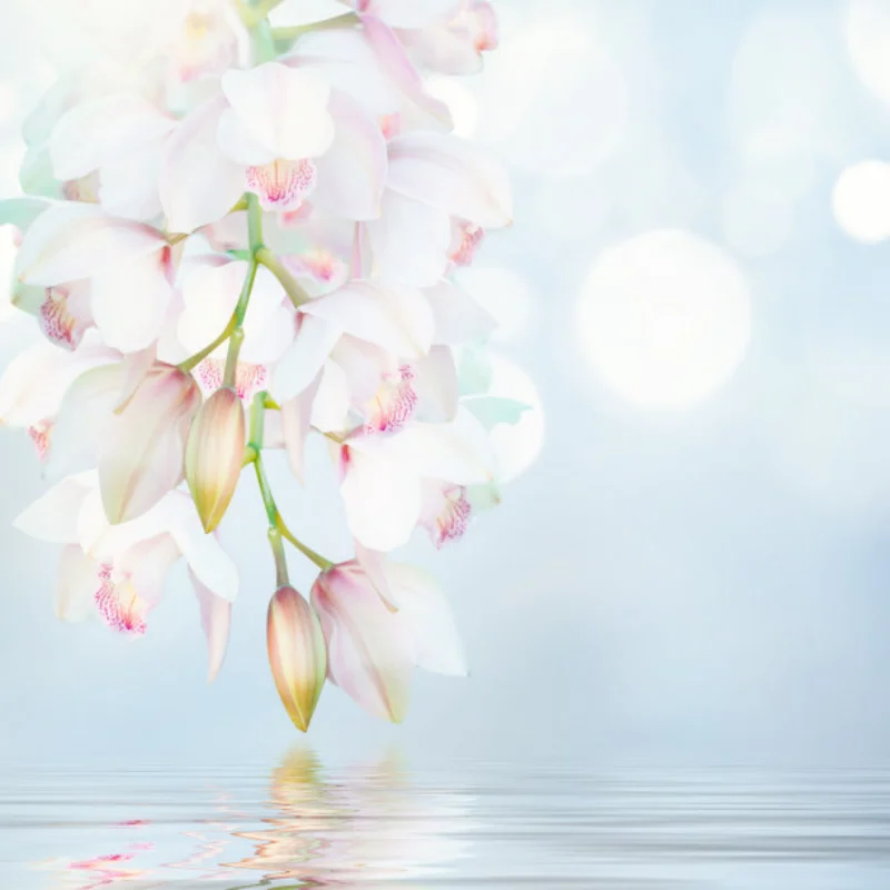 

Двигатель 2830 2100 кВ и сменный бесщеточный ESC AM32 45A, комплект обновления регулируемой мощности для MN128 1/12, детали радиоуправляемого автомобиля