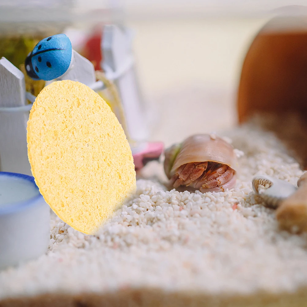 

10 Pcs Crab Sponge Turtle Bath Accessories Natural Sea Aquarium Decor for Water Cleaning