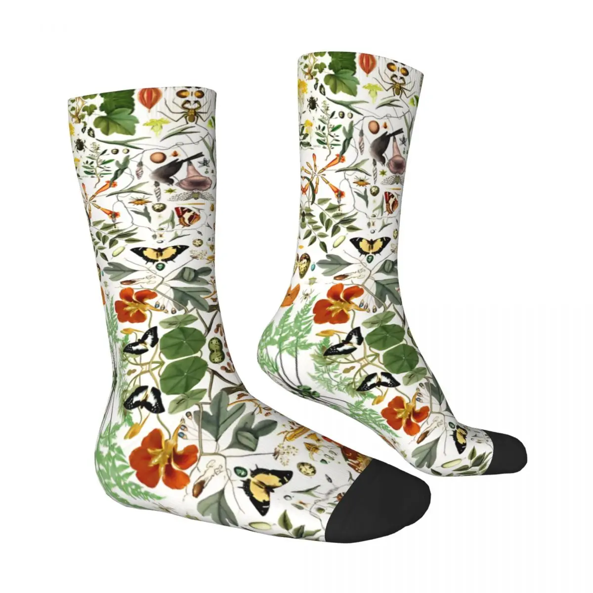 Insects Harajuku Socks Biology 101 Funny Stockings Men\'s Comfortable Outdoor Socks Spring Pattern Anti Bacterial Socks