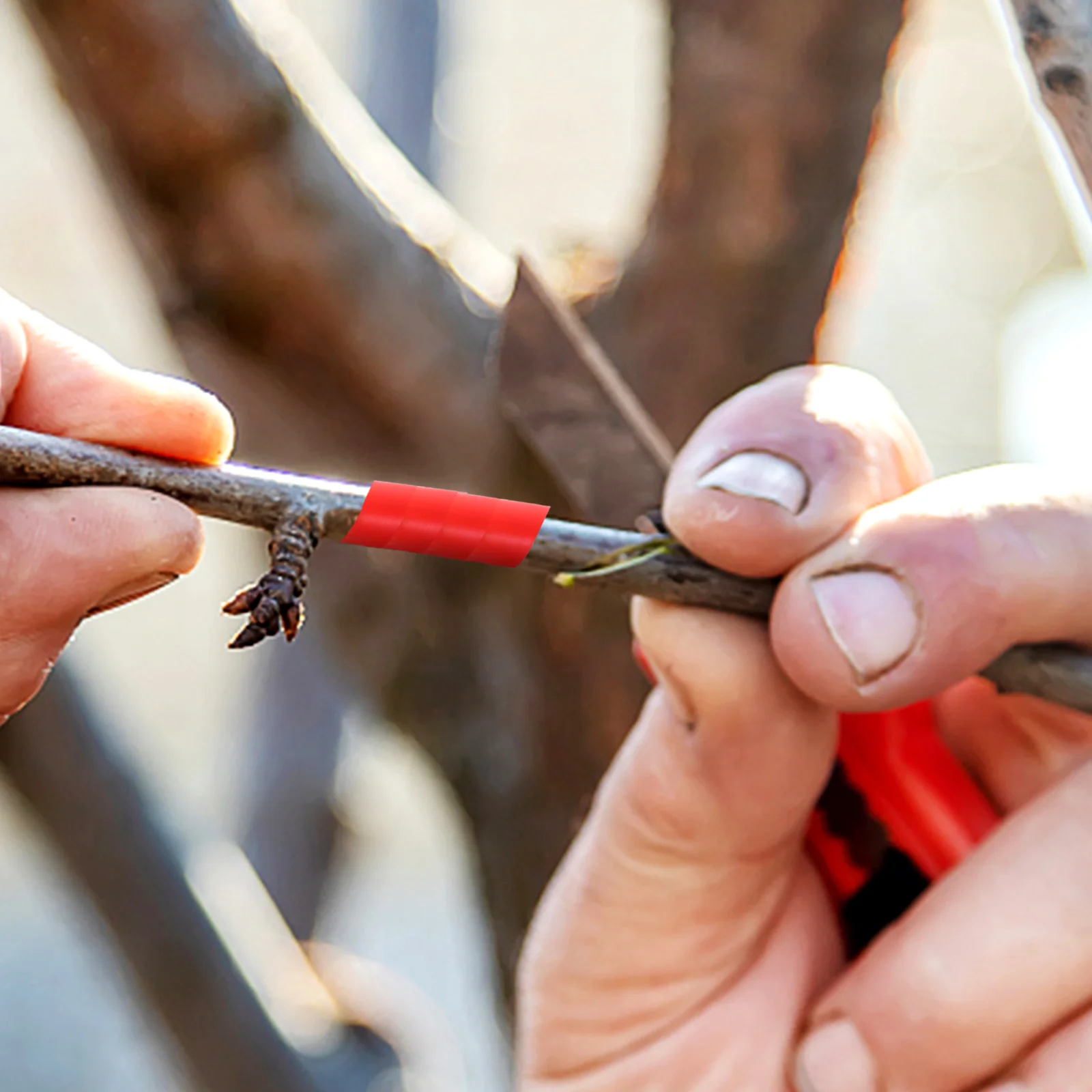 

2 Rolls Versatile Plant Taping Tool For Various Garden Applications Including Flowers And Trees Tools Parts