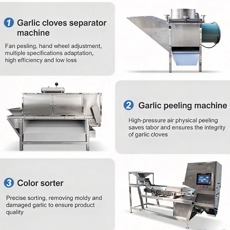 Garlic Powder Process Plant Industrial Garlic Peel Production Line Garlic Powder Make Machine Customized