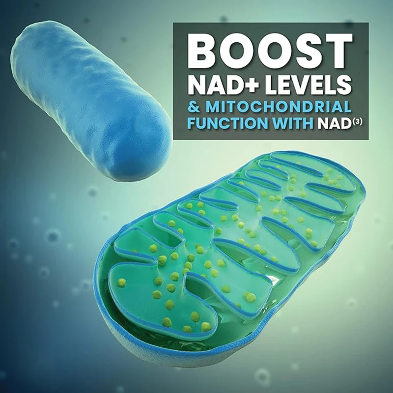 HABUMAMA NAD+ Booster, Nicotinamide Riboside Alternative, Natural Energy, Longevity & Cellular Health