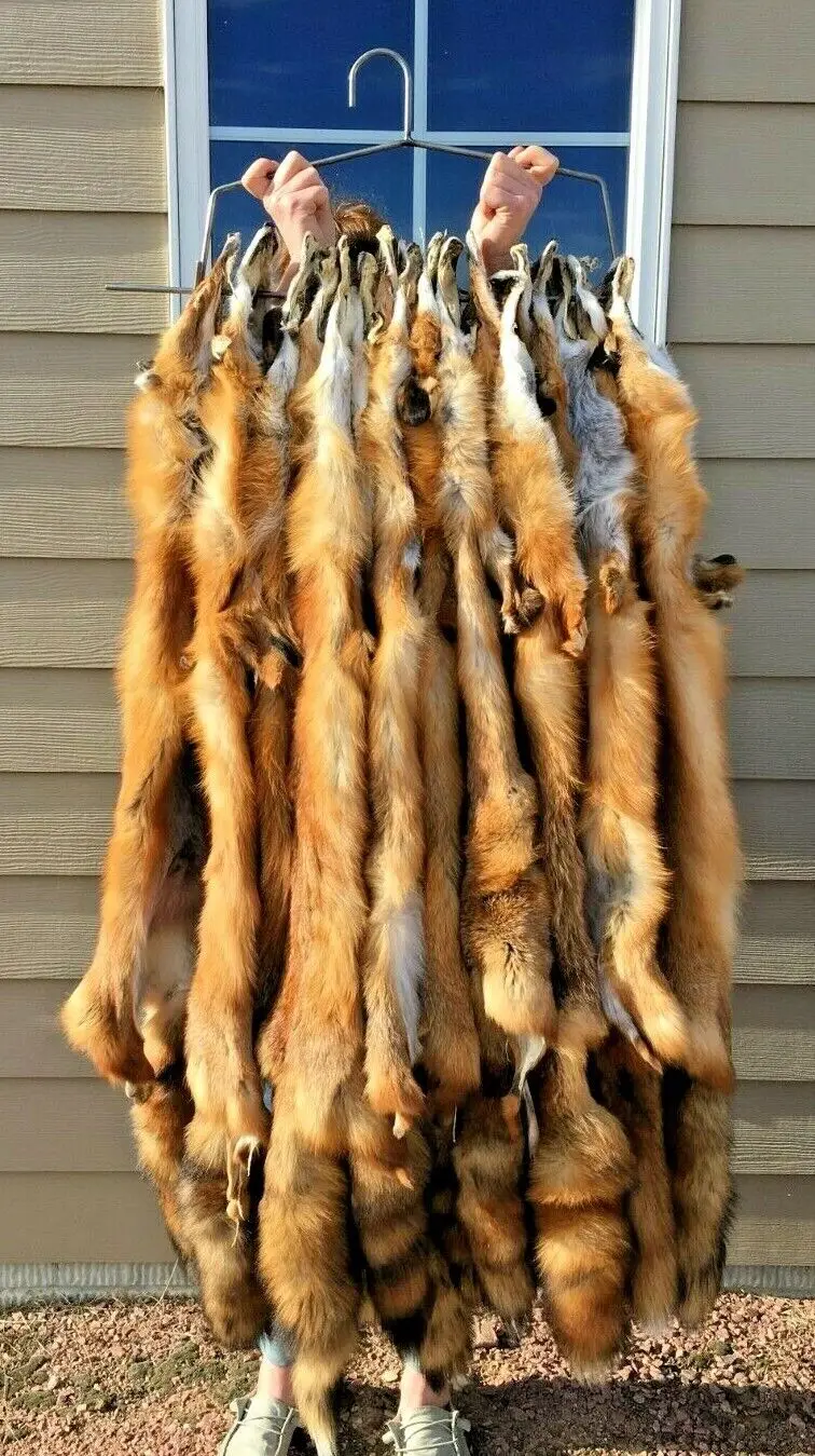 Natural Tanned Pelt, Red Fox Hide Fur, Animal Skin, Pelt for Plush Charm, Pendant Coats, Clothing, Scarf, Accessory, 1 Piece