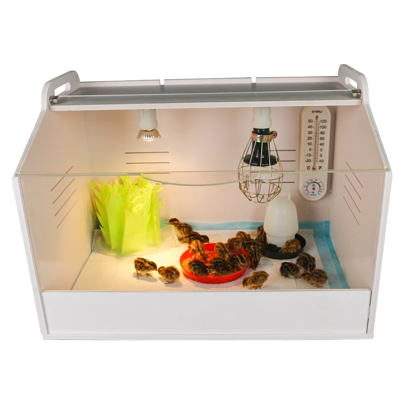 

Medium Size Breeding Box Brooder for Baby Poultry Birds