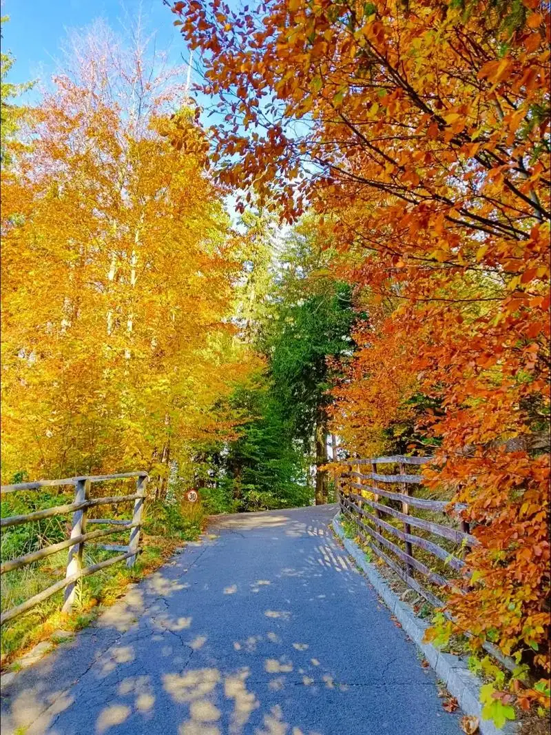 MP3 Dekoder Kurulu 80W Amplifikatör Bluetooth 5.0 MP3 Çalar 5V-26V 12V Araba FM Radyo Modülü Handsfree Çağrı Kayıt AUX TF/U-Disk