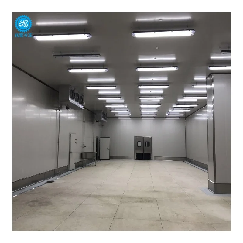 Commercial Solar Cold Room Walk in Freezer Cooler Chambre Froide for Meat Fruits Vegetables Fish Storage Energy Saving Design