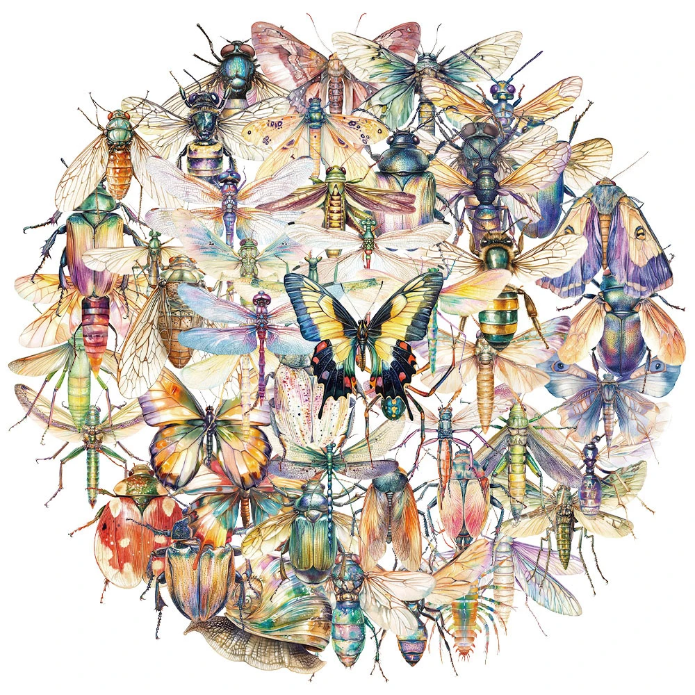 10/30/50pcs 투명 곤충 만화 스티커 다채로운 낙서 스티커 장식 스크랩북 가방 노트북 PET 데칼 장난감