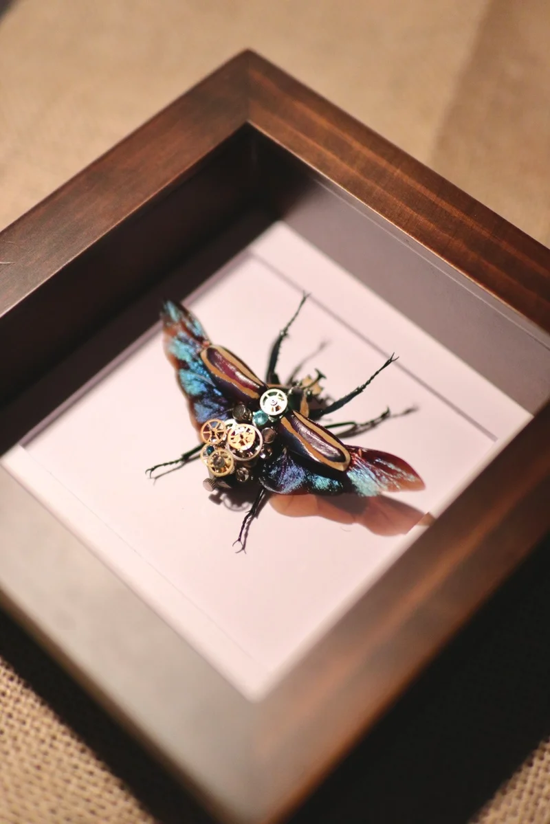 Mechanical insect collection crafts punk  home decor  home decoration accessories modern  desk decoration