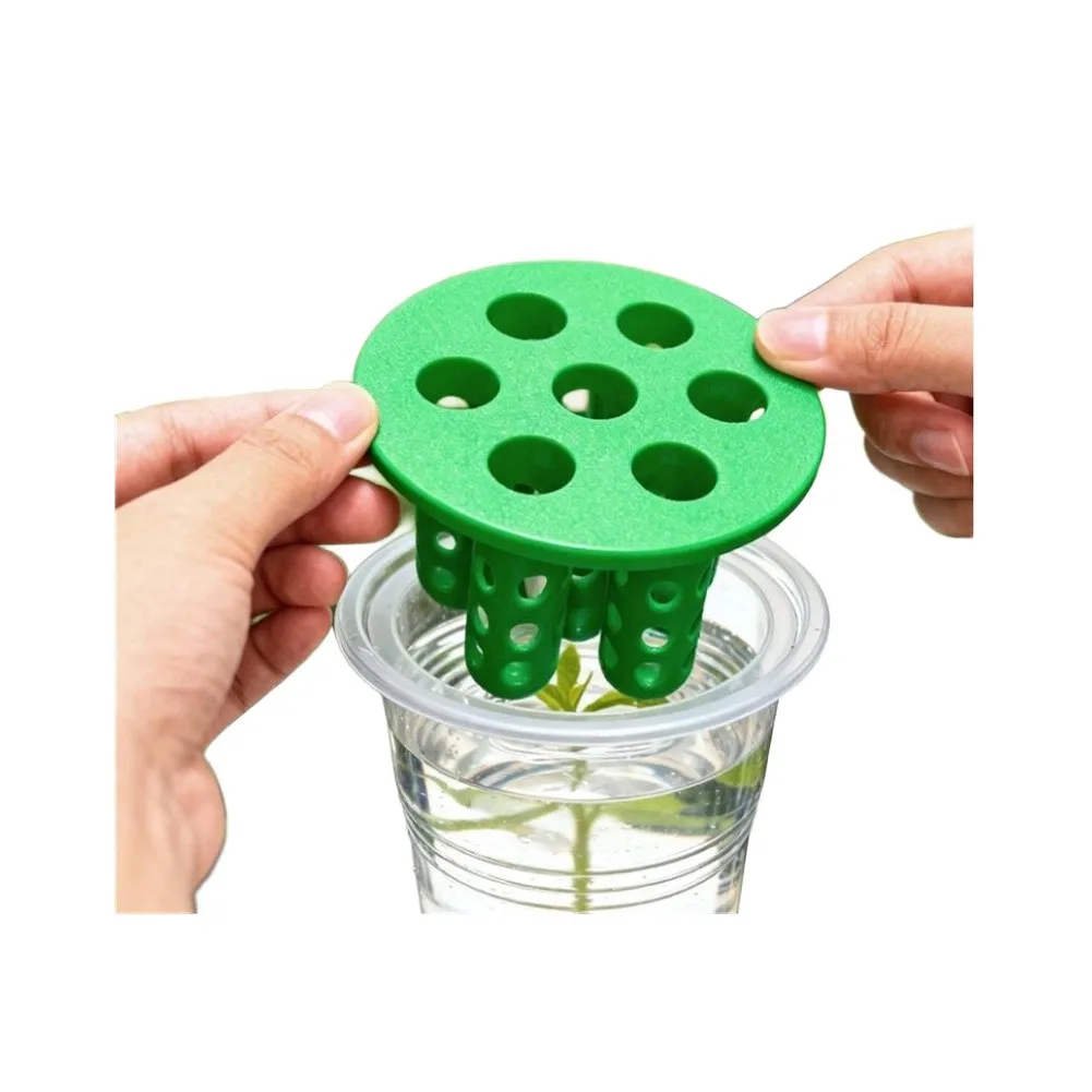4pcs Green Onion Regrower Sprouting Kits: Grower Container For Windowsill Green Onion /Planter Clear Reusable /Hydroponic