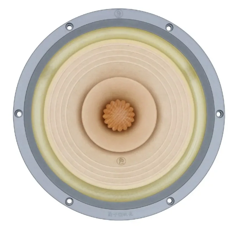 8 Inch Full Range Speaker Driver 8 Ohm 50-80W 47Hz-20kHz Frequency Response Audio Speaker Unit