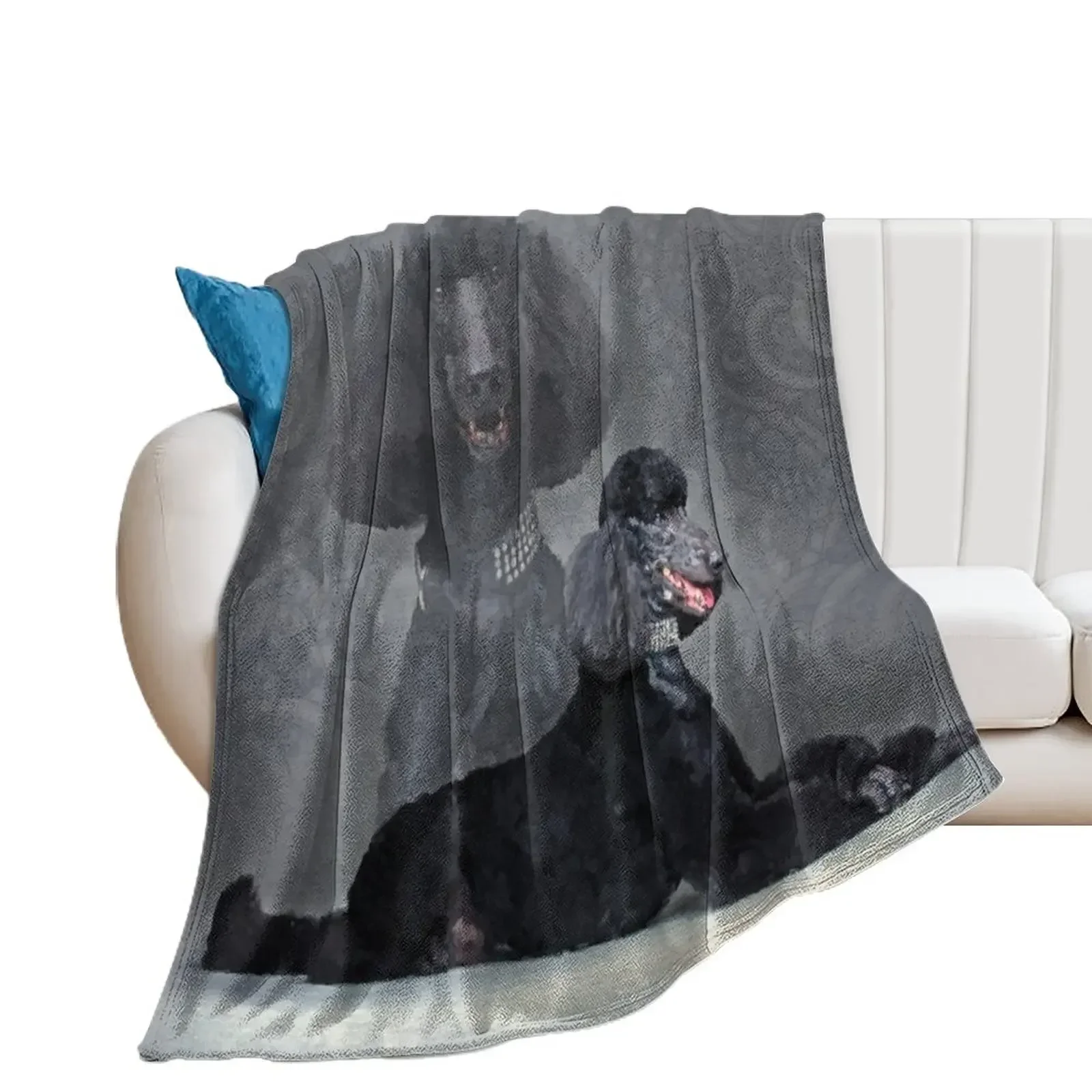 

Elegant Black Standard Poodle Composition Throw Blanket Vintage bed plaid Furry Blankets