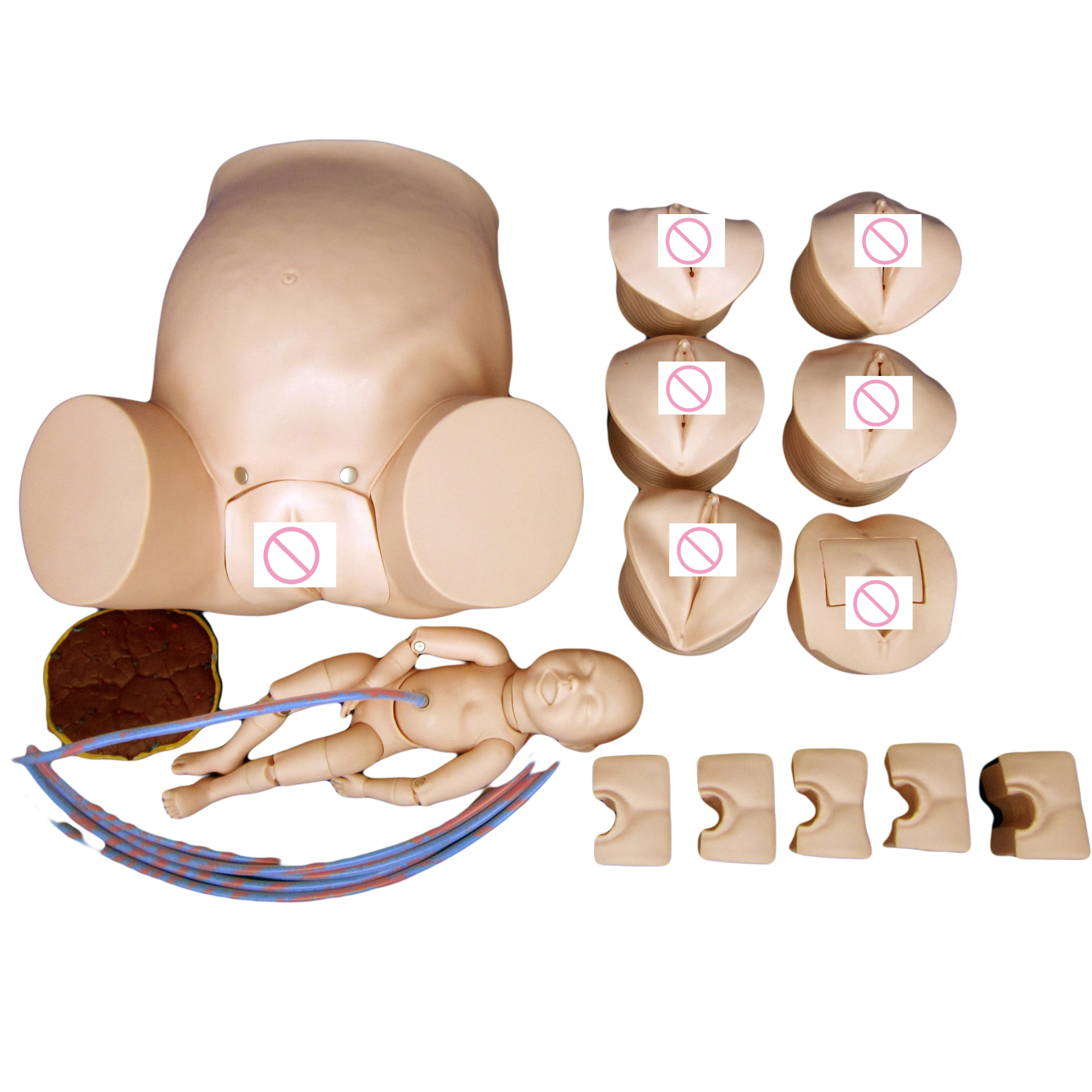 

unique Childbirth Manikin Perineum Care Pregnant Woman Baby Delivery Training Model