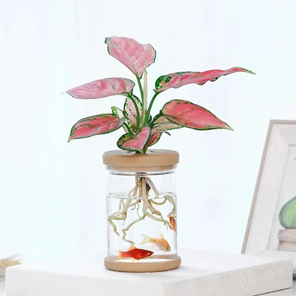 Aesthetically Pleasing Clear Plastic Flower Pot Suitable For Various Home Environments While Supporting Healthy For Growth