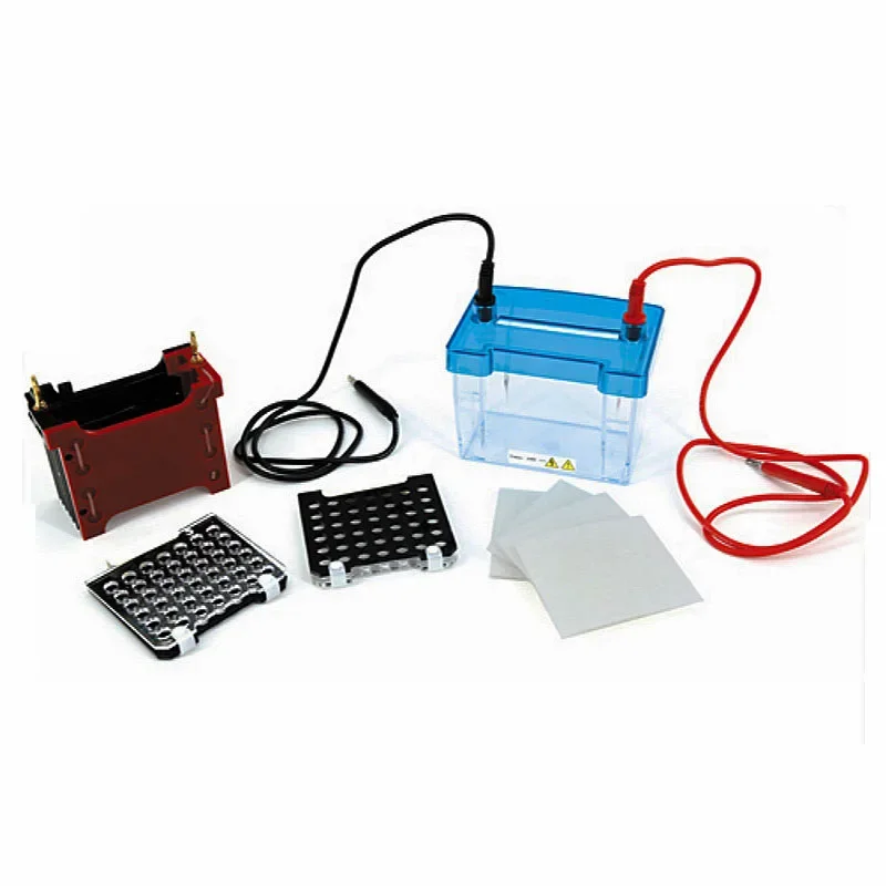 Trans-Blotting Electrophoresis Cell Mini Transfer Electrophoresis Tank DYCZ-40D For WesternBlot Experiment Use With DYCZ-24DN