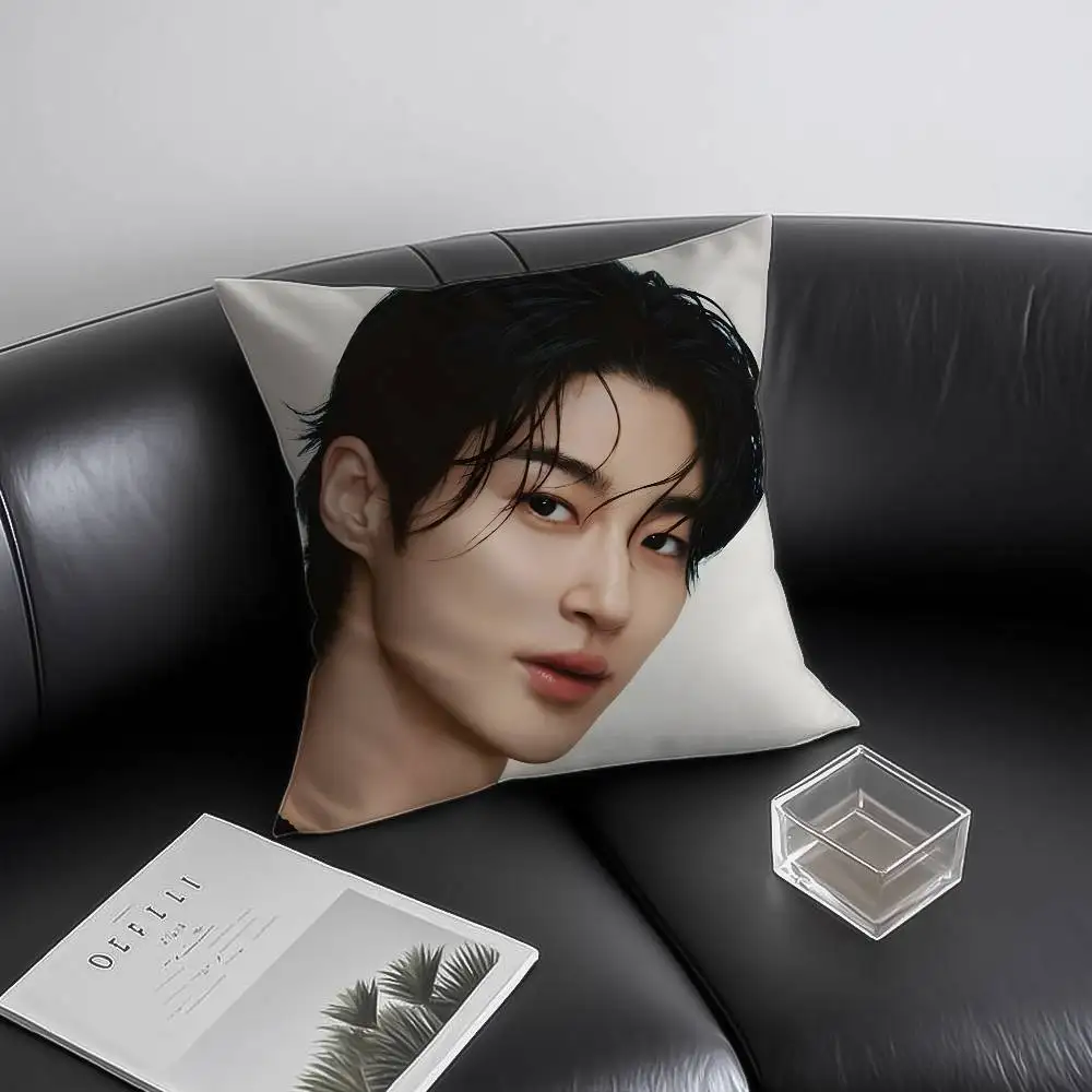 الممثلون والنماذج B-Byeon W-Wooseok كيس وسادة مكافحة الغبار المخدة غير مرئية سستة حريري قصير أفخم غطاء وسادة أريكة