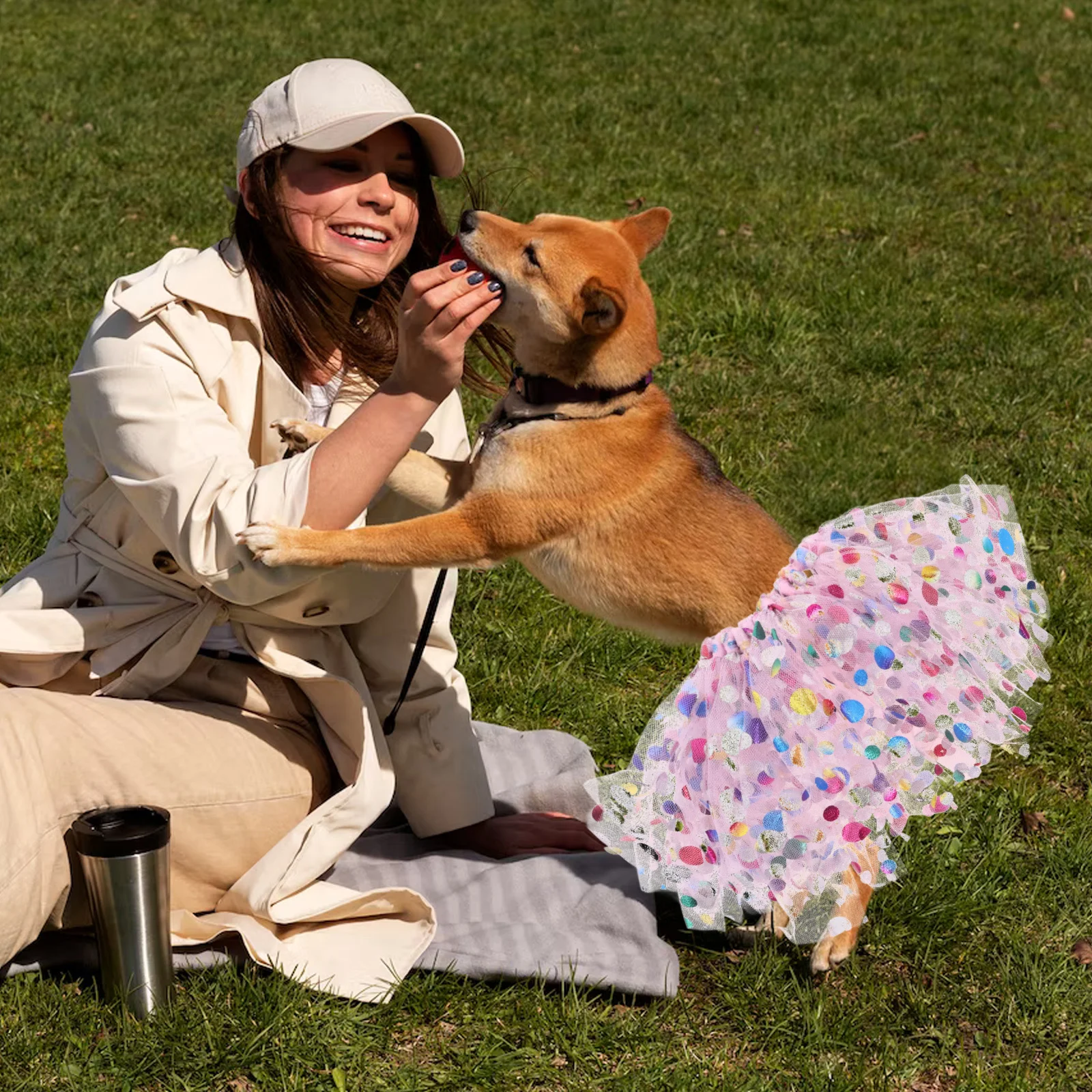 

Princess Dog Costume Lace Mesh Dress Adjustable Harness Skirt Puppy Birthday Wedding Halloween Pet Outfit Small Medium Large