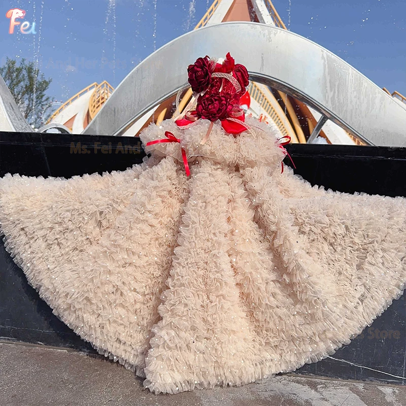 فستان الأميرة الفاخر من الدانتيل الأبيض النقي بذيل طويل للكلاب الصغيرة والمتوسطة، تنورة تصوير عصرية للحيوانات الأليفة مصنوعة يدويًا للكلاب