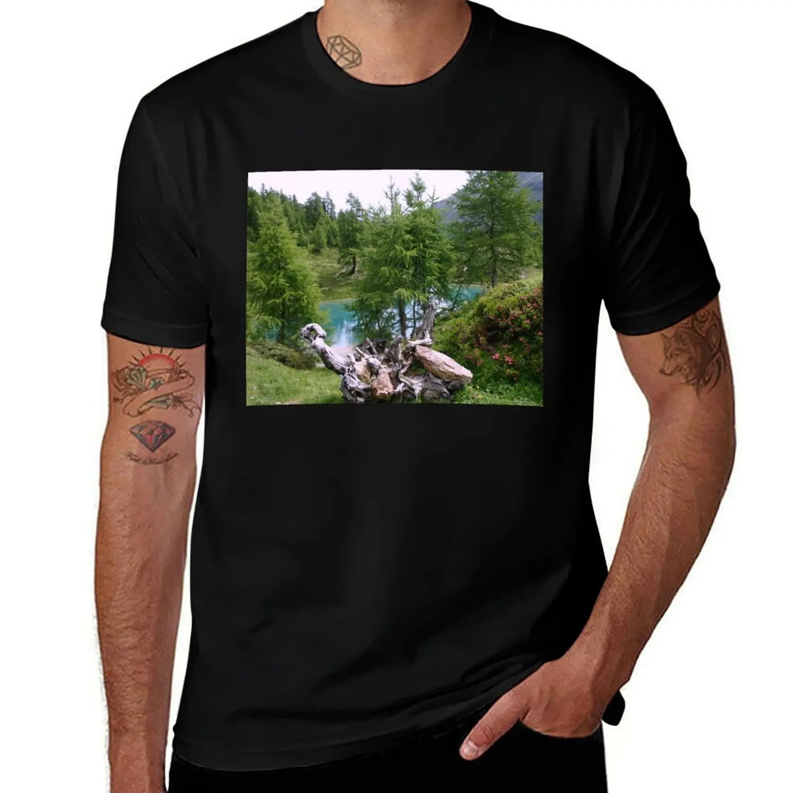 

The Blue Lake in Arolla in Switzerland T-Shirt cute clothes kawaii clothes Funny t-shirt plus size clothes mens cotton t shirts