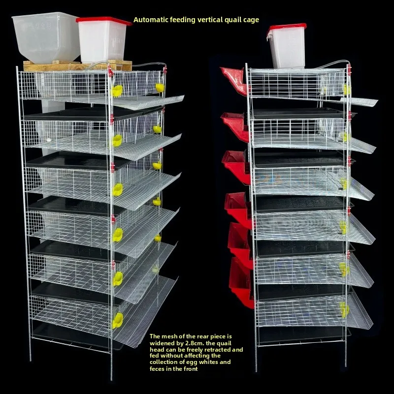 Automatic Quail Cage, Vertical Stackable Layer With Feeder Waterer & Egg Collector, Manure Cleaning System For Farming Equipment